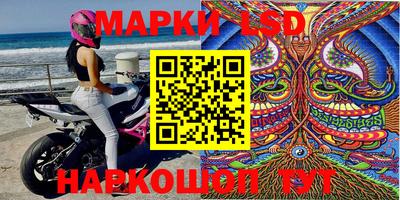 Альфа ПВП Ачхой-Мартан