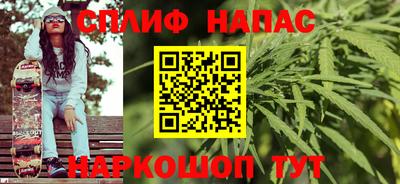 Альфа ПВП Ачхой-Мартан