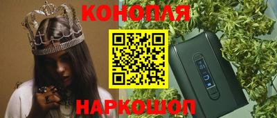 Альфа ПВП Ачхой-Мартан